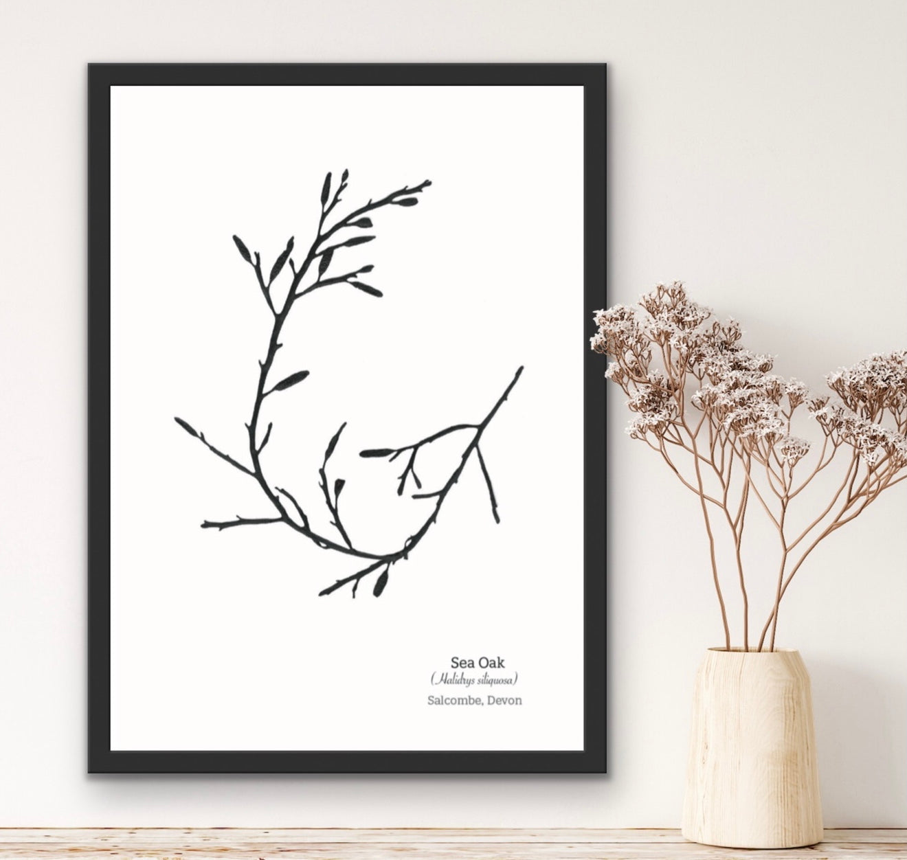 Black Sea Oak 01 Limited Edition Seaweed Print (Salcombe)