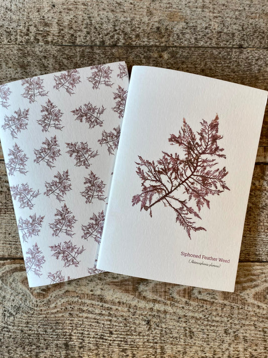 A6 Plain Notebooks - Siphoned Feather Weed