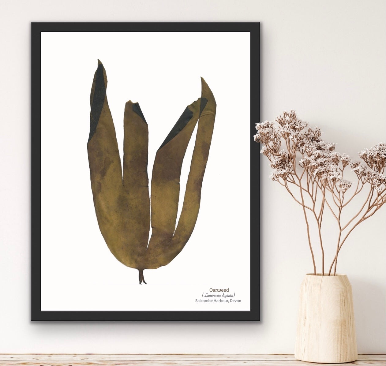 Oarweed Limited Edition Seaweed Print (Salcombe)