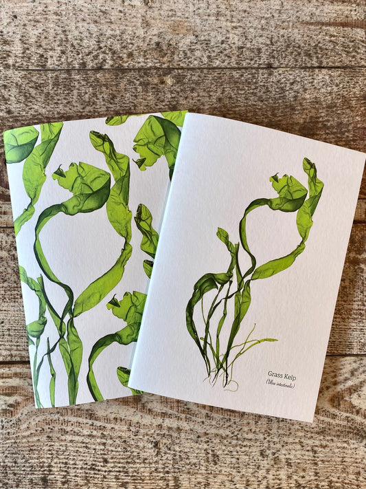 A6 Plain Notebooks - Grass Kelp