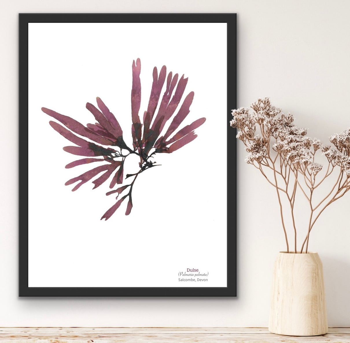 Salcombe Dulse Limited Edition Seaweed Print (Salcombe)