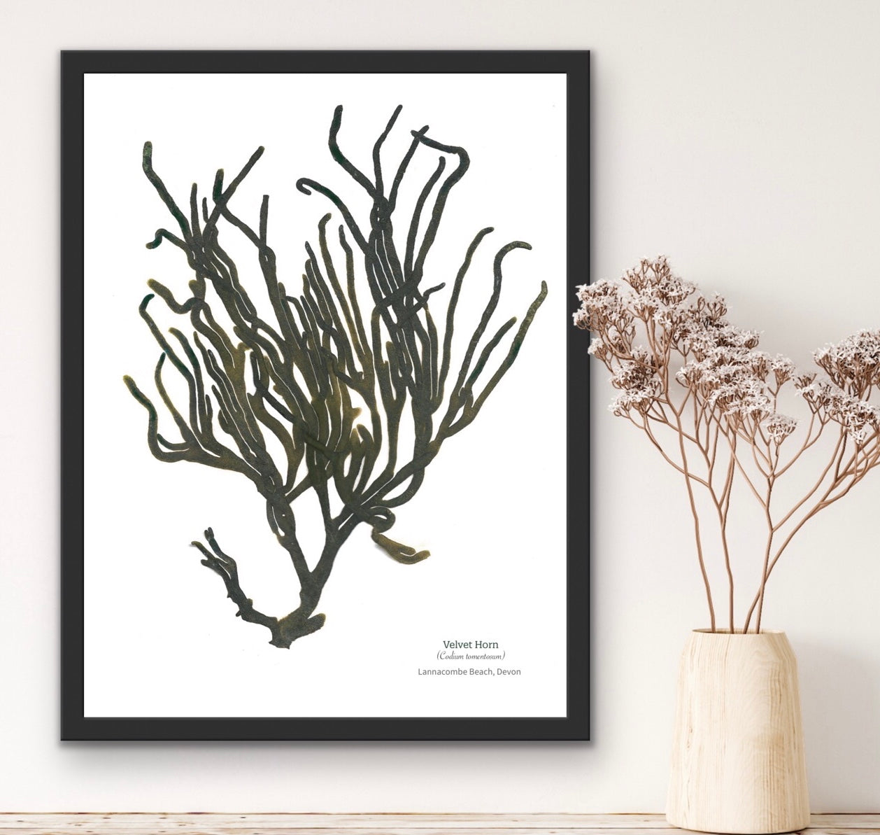 Velvet Horn Limited Edition Seaweed Print (Lannacombe)