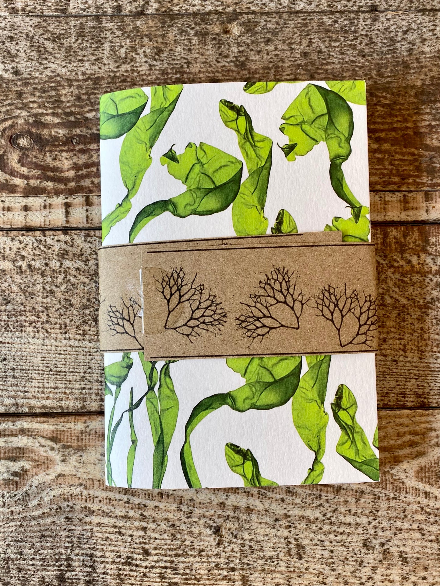 A6 Plain Notebooks - Grass Kelp