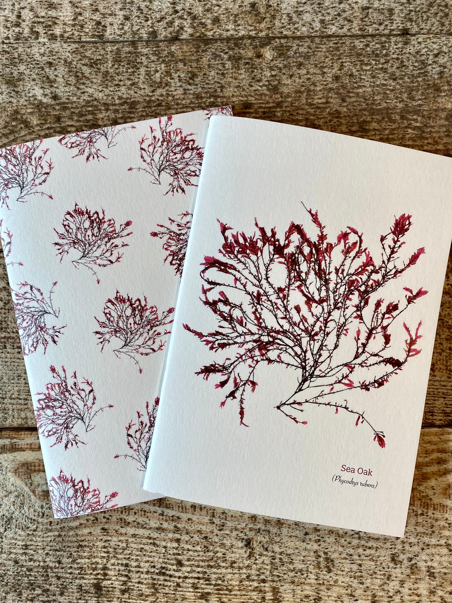 A6 Plain Notebooks - Sea Oak