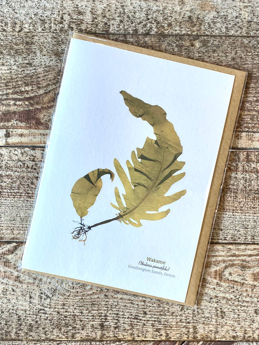 Wakame (Goodrington Sands) Seaweed Greeting Card