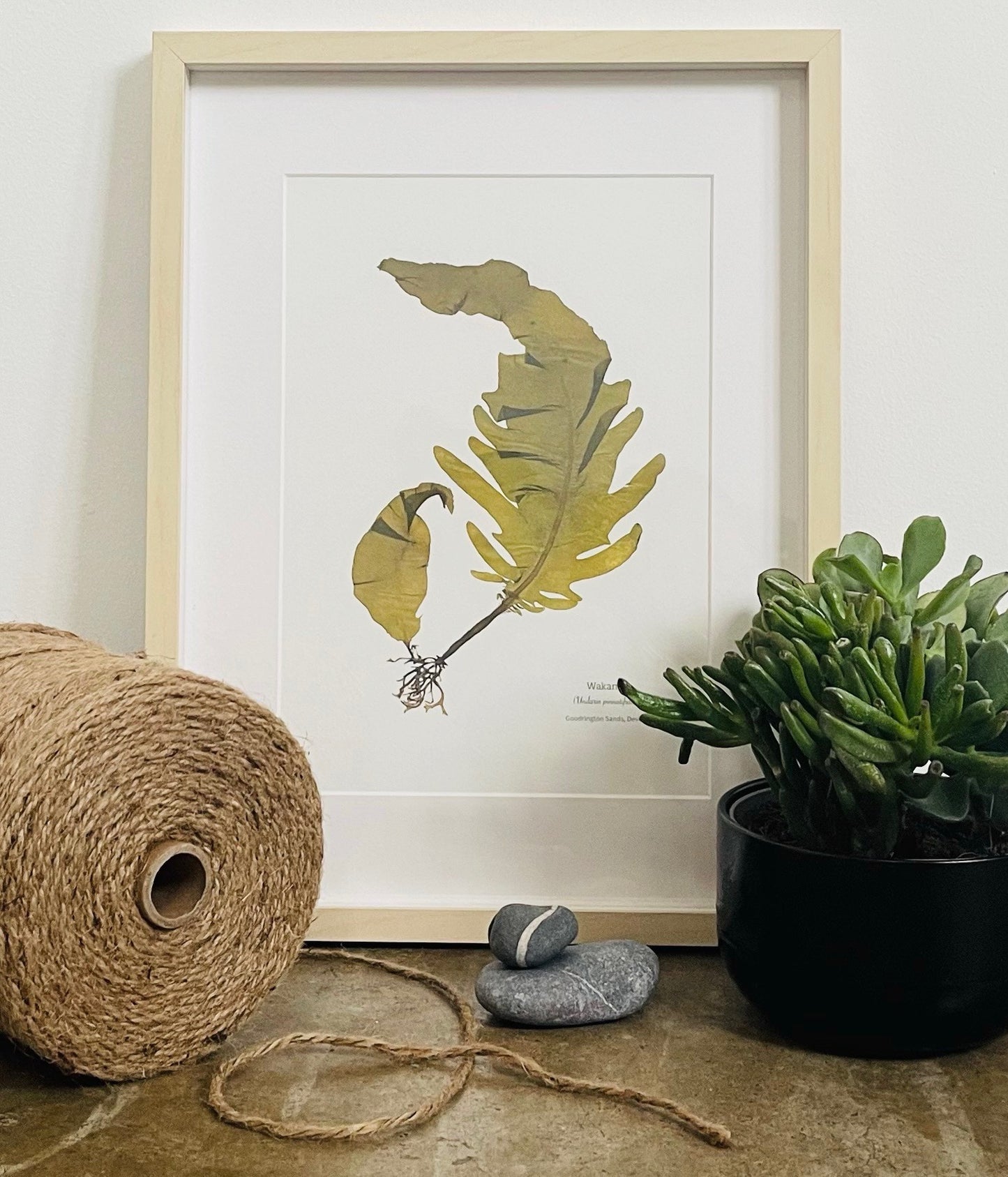 Wakame Limited Edition Seaweed Print (Goodrington Sands)