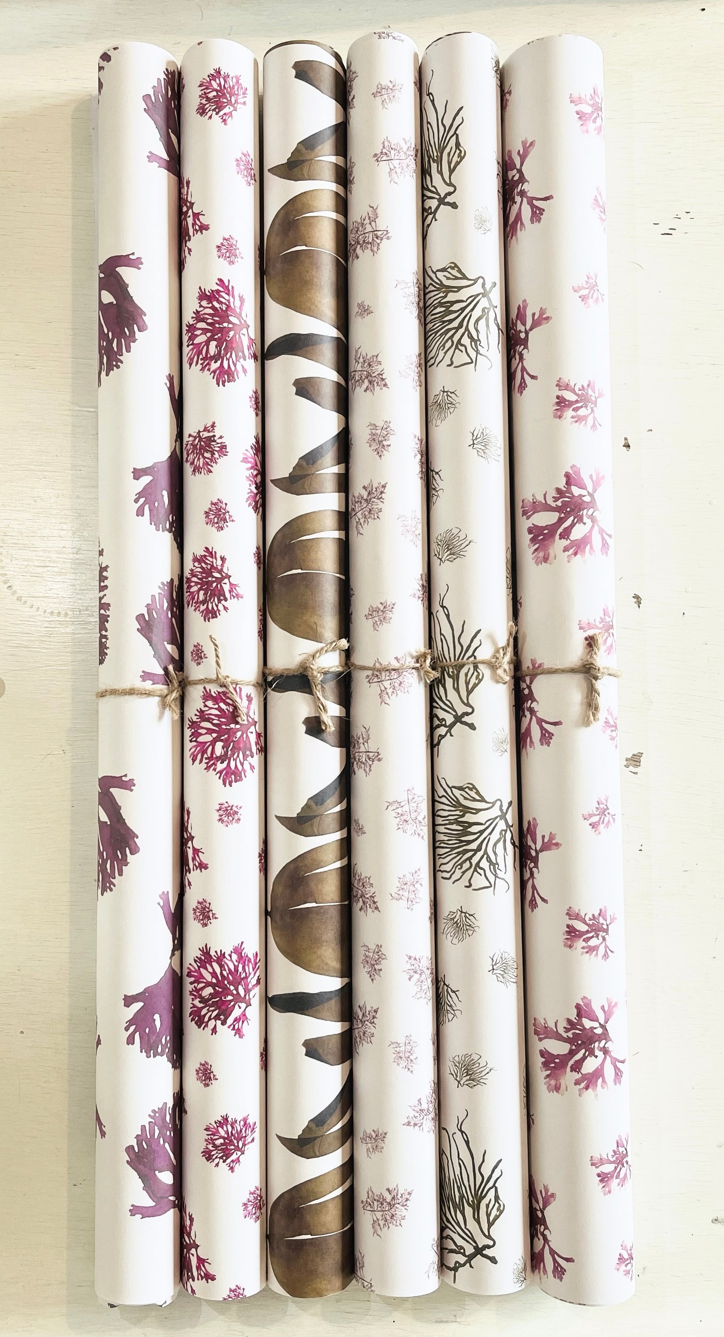 Oarweed Wrapping Paper Sheet